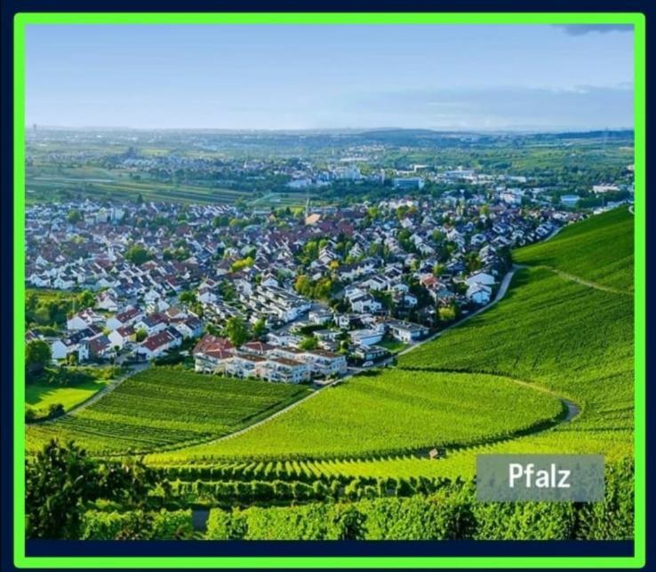 Ferienwohnung Forest & Wein Neustadt an der Weinstraße Quarto foto